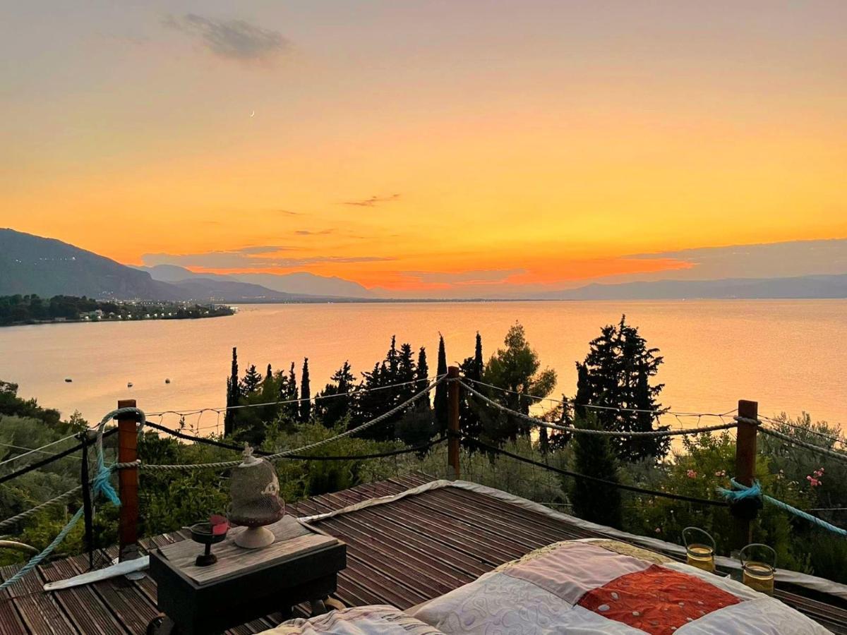 Magical View Studios Asproneri, Kamena Vourla Dış mekan fotoğraf