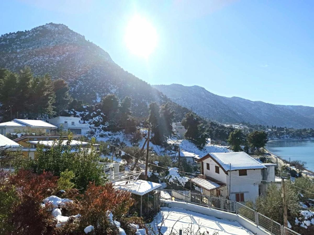 Magical View Studios Asproneri, Kamena Vourla Dış mekan fotoğraf