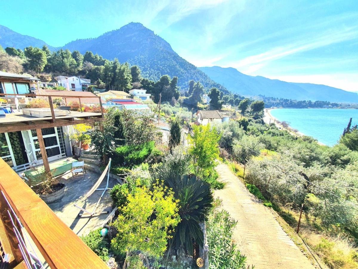 Magical View Studios Asproneri, Kamena Vourla Dış mekan fotoğraf