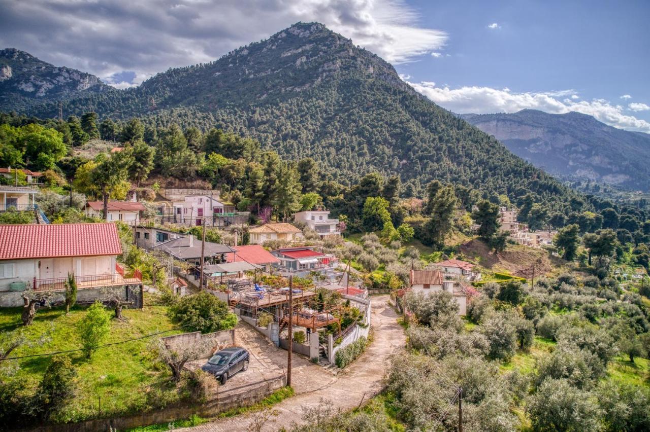Magical View Studios Asproneri, Kamena Vourla Dış mekan fotoğraf