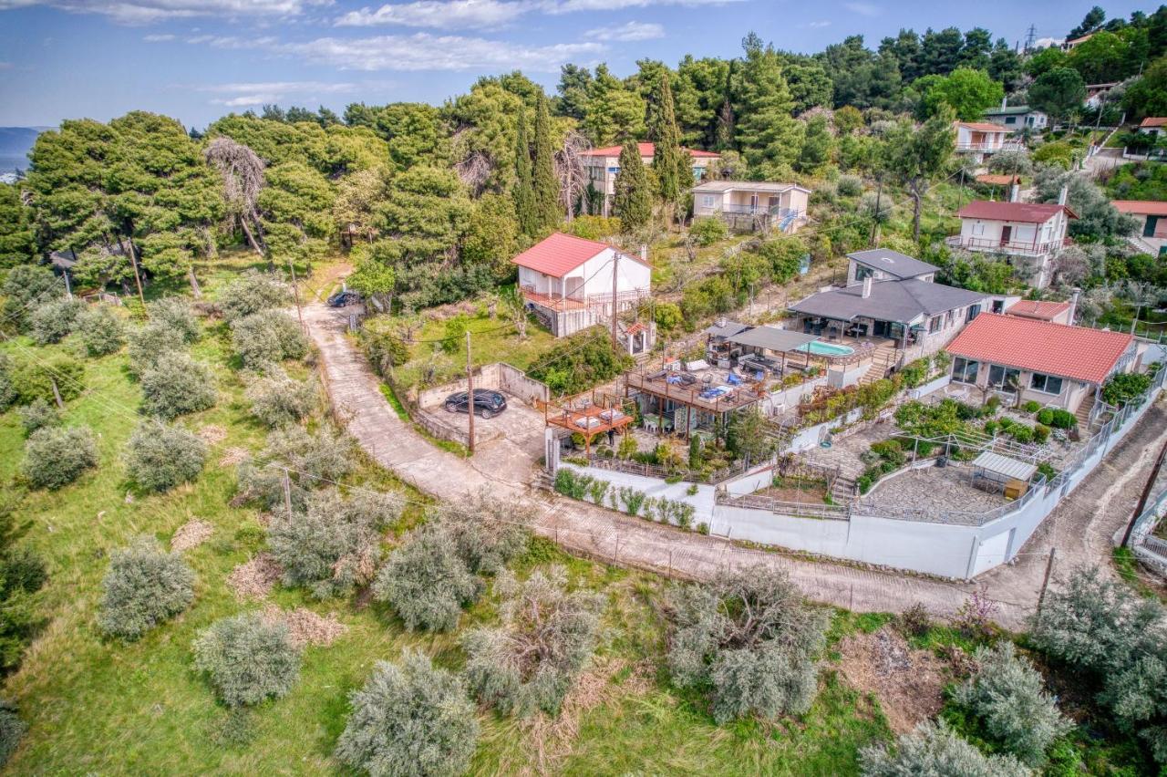 Magical View Studios Asproneri, Kamena Vourla Dış mekan fotoğraf